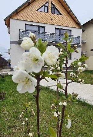 Casuta Noastra - Sulina Exterior foto